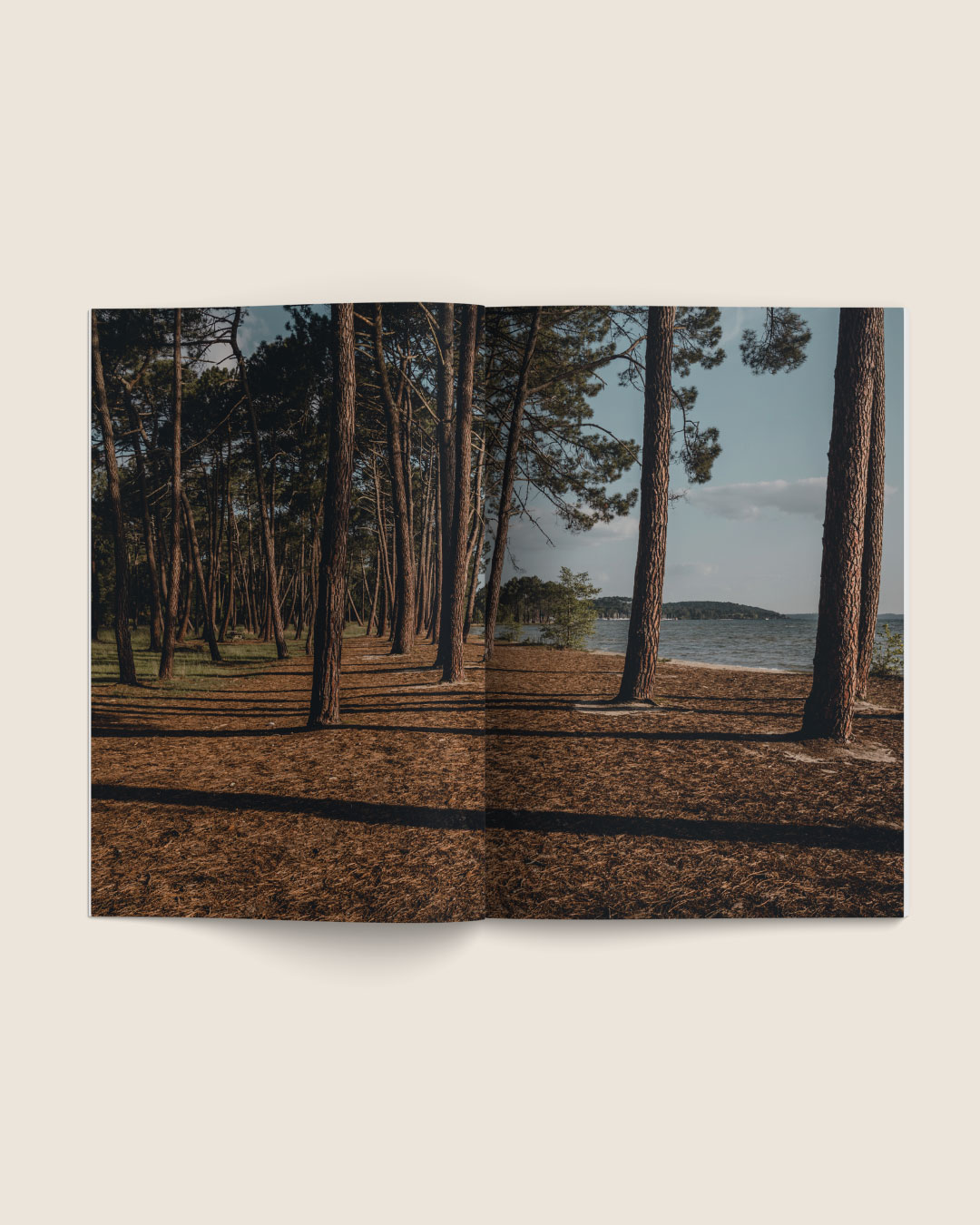 DOUBLE_ambiance2